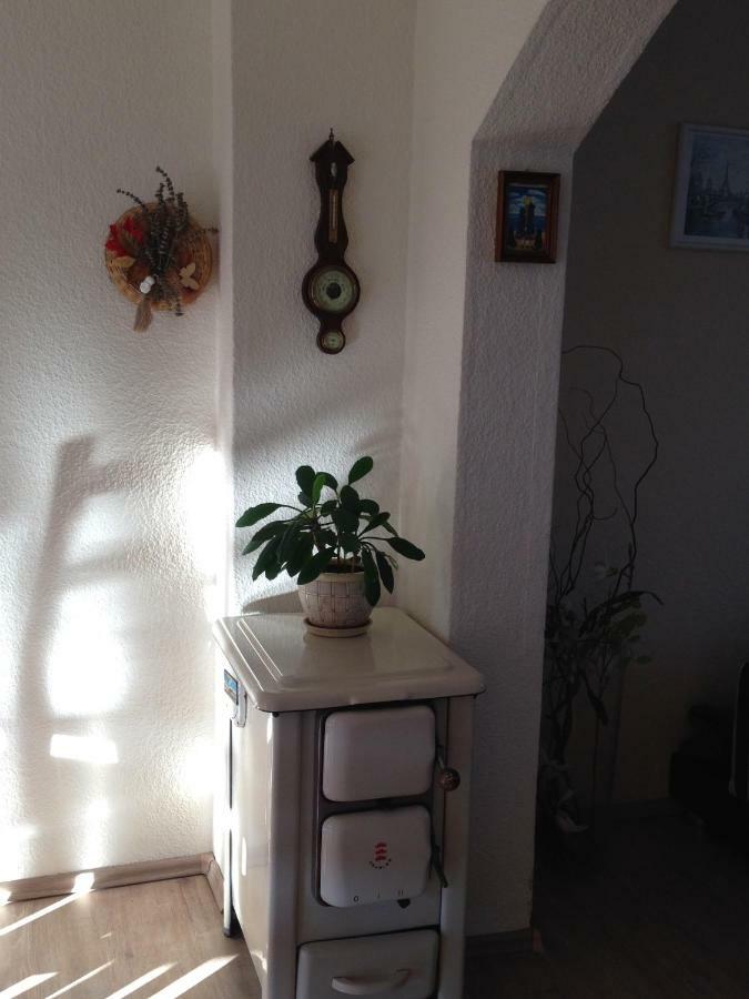 Ferienwohnung Mit Garten In Koeln Exterior photo